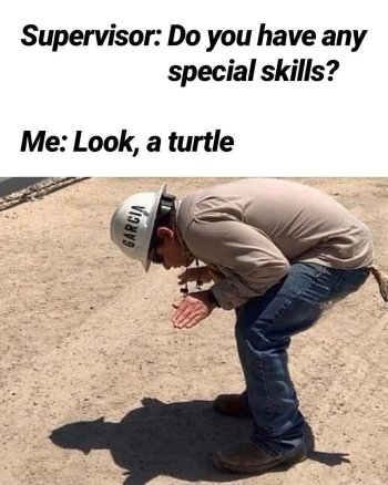 1740160566804.jpeg