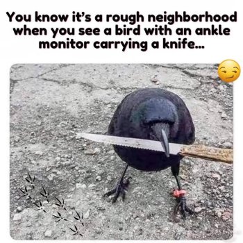 1740170034476.jpeg