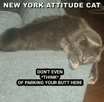1740188503129.png