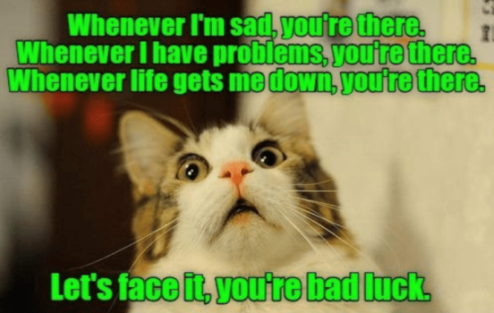 1740188685174.png