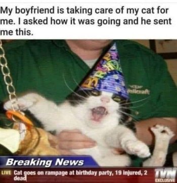 1740211411395.jpeg