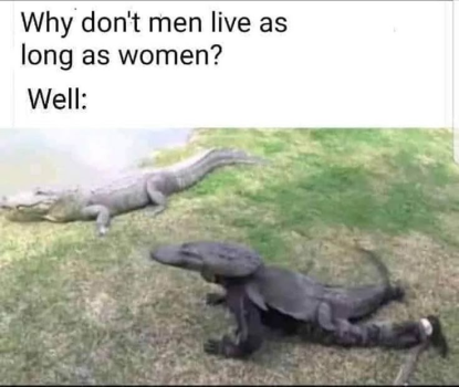 1740237585852.png