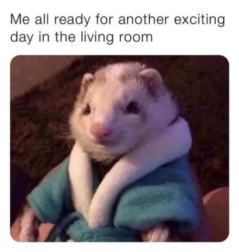 1740255820705.jpeg