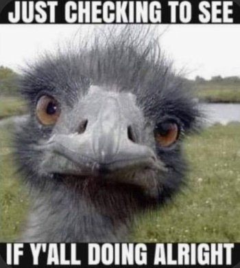 153bdaf663f0e887a46c5b4e5264db9d.jpg