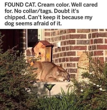 1740276557612.jpeg