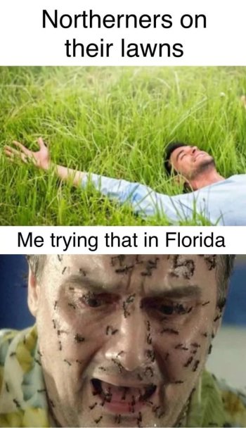 1740394354692.jpeg
