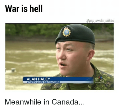 1740447007820.png