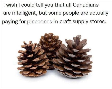 1740447530153.jpeg