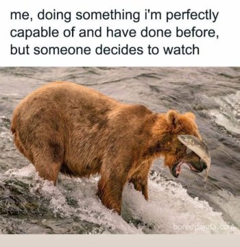1740487726826.jpeg