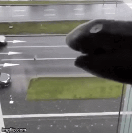 412dxz.gif