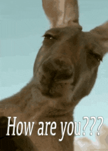 1740511303677.png