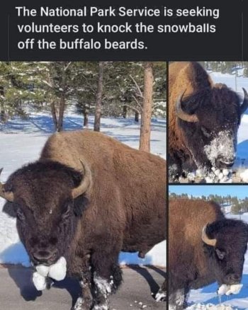 1740515575415.jpeg