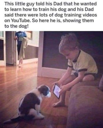 1740536491625.jpeg