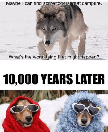 1740657456978.png