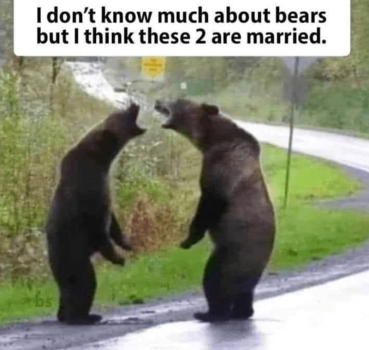 1740657876459.png