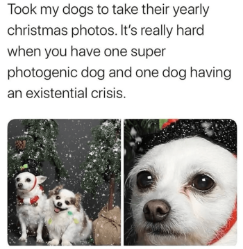 1740658254510.png