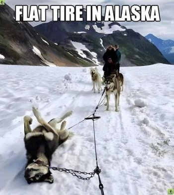 1740709704394.jpeg