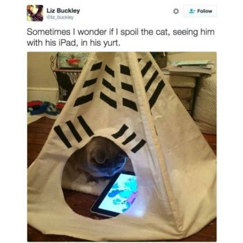 1740746280934.jpeg