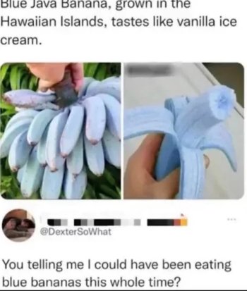 1740781598853.jpeg