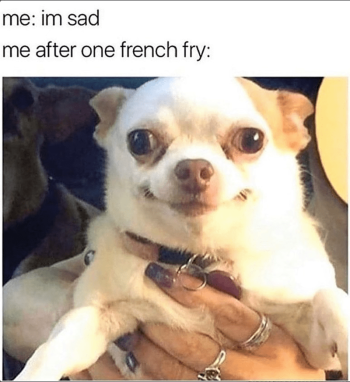 1740799768019.png