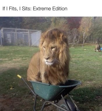 1740920640192.jpeg