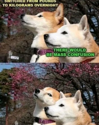 1741024844961.jpeg