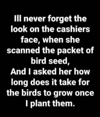 1741196513547.jpeg