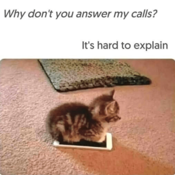 1741344658046.png