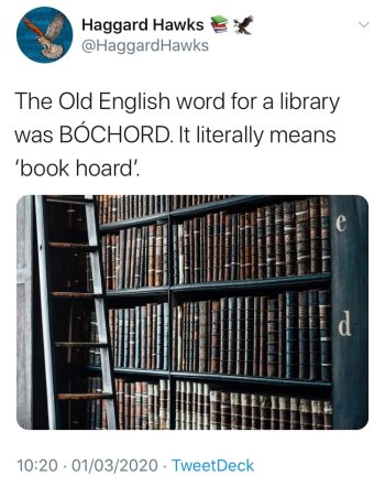 1741395861840.jpeg