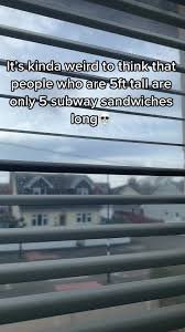1741572206964.jpeg