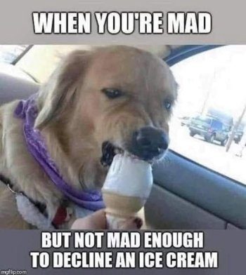 1741601264253.jpeg