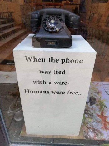 1741628509640.jpeg