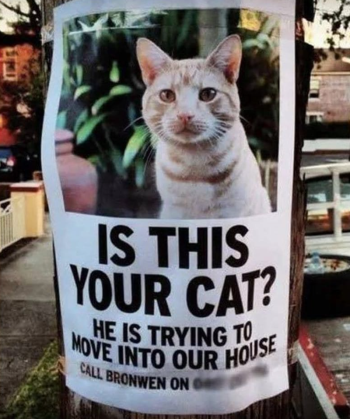 1741675285439.png