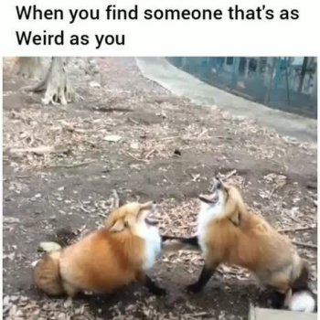 1741770220172.jpeg