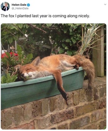 1741770276771.jpeg
