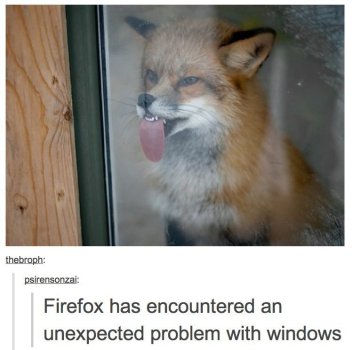 1741770358074.jpeg