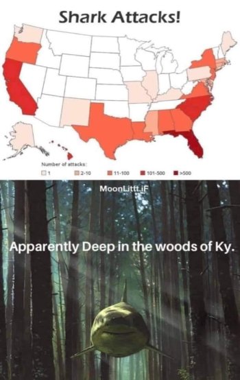 1741777542238.jpeg