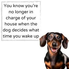 1741797825469.jpeg