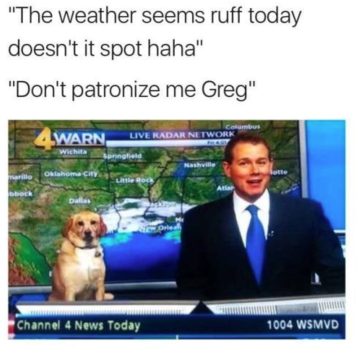 1741935651759.png