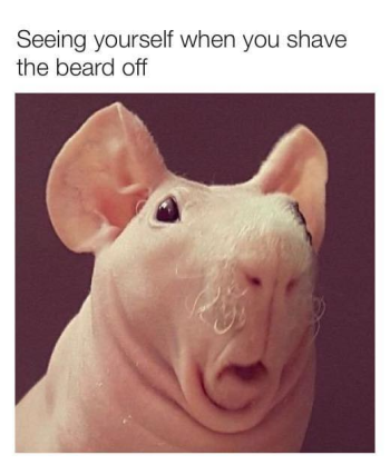 1741944232884.png
