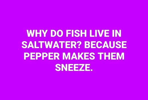 1742010900248.jpeg