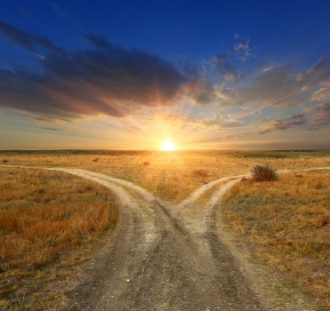 Dream About The Fork In The Road