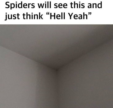 1742318381174.png