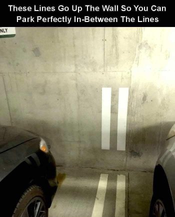 1742326207130.jpeg