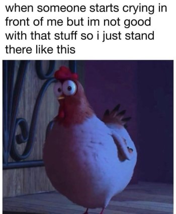 1742421760296.jpeg
