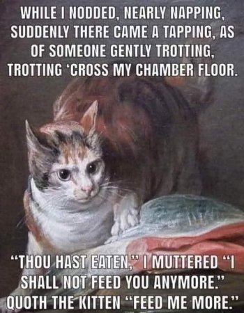 1742493053021.jpeg