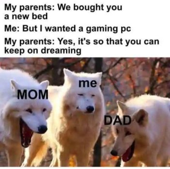 1742493161013.jpeg