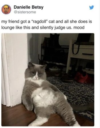 1742602680772.jpeg