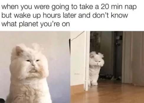 1742602721446.jpeg