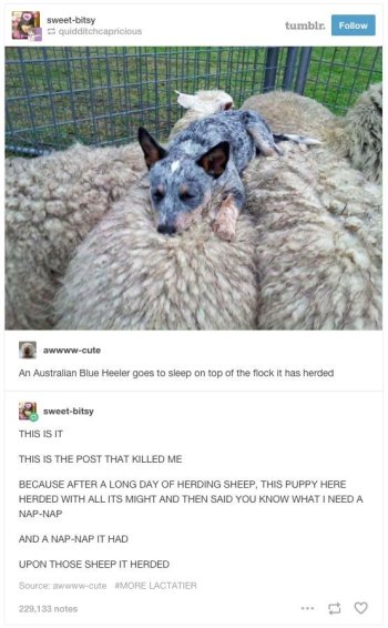 1742776939167.jpeg